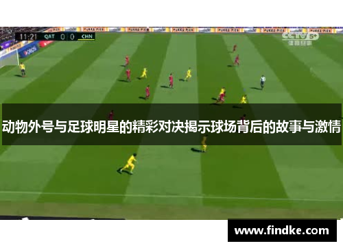 动物外号与足球明星的精彩对决揭示球场背后的故事与激情