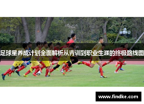 足球星养成计划全面解析从青训到职业生涯的终极路线图