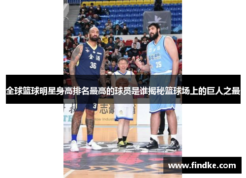 全球篮球明星身高排名最高的球员是谁揭秘篮球场上的巨人之最
